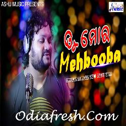 Tu Moro Mehbooba - Dance Song